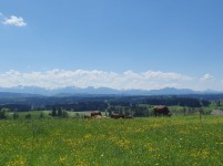 Allgau Panorama